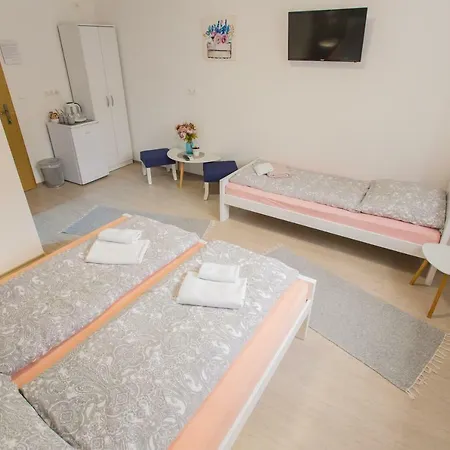 Guest house Stari *